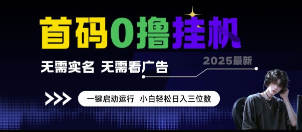 首码0撸挂G项目，无需实名无需看广告 一键启动运行，小白轻松日入三位数【揭秘】-资源鲟