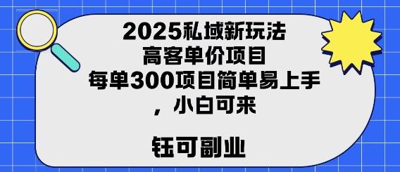 2025私域新玩法高客单价，每单3张操作简单，小白可轻松上手-资源鲟