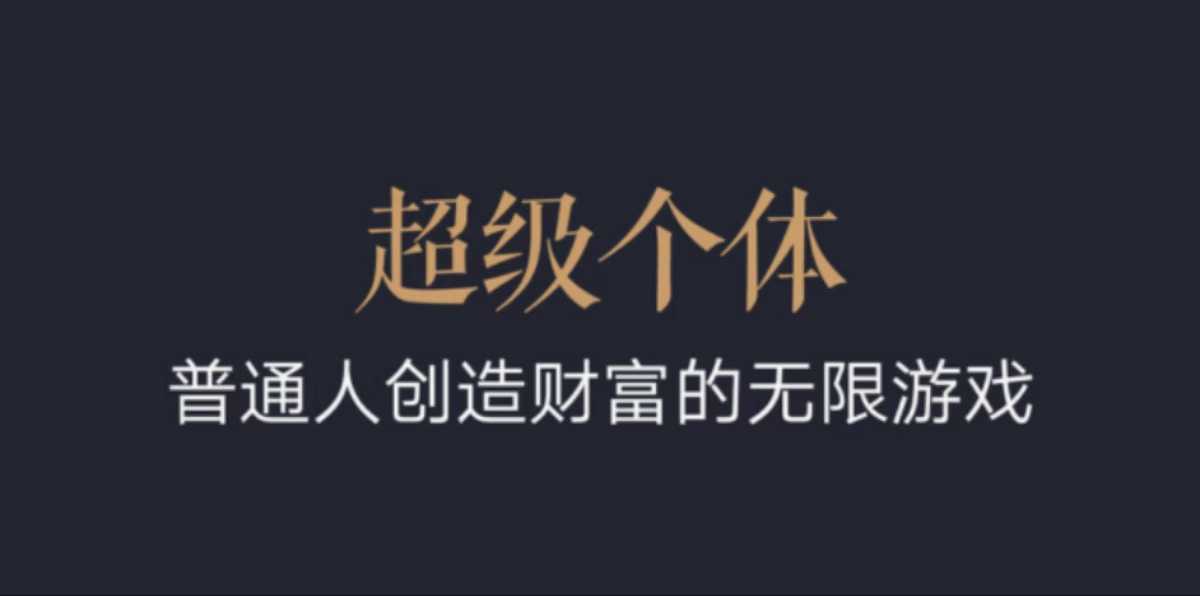 超级个体：2024-2025翻盘指南，普通人创造财富的无限游戏-资源鲟