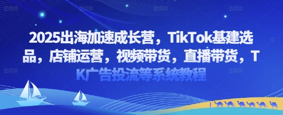 2025出海加速成长营，TikTok基建选品，店铺运营，视频带货，直播带货，TK广告投流等系统教程-资源鲟
