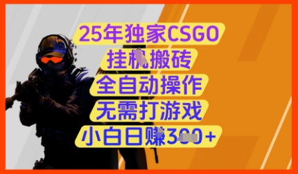 25年独家CSGO挂G搬砖，全自动操作，无需打游戏，小白日入3张+【揭秘】-资源鲟