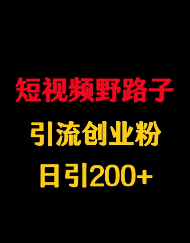 短视频野路子引流创业粉，日引200+-资源鲟