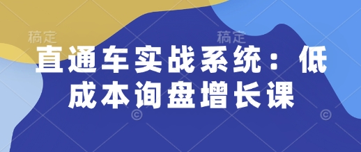 直通车实战系统：低成本询盘增长课，让个人通过技能实现升职加薪，让企业低成本获客，订单源源不断-资源鲟