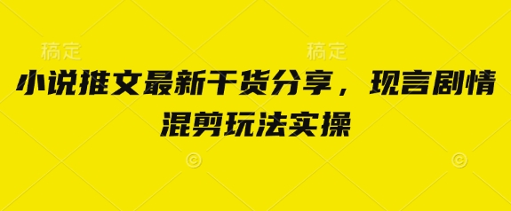 小说推文最新干货分享，现言剧情混剪玩法实操-资源鲟