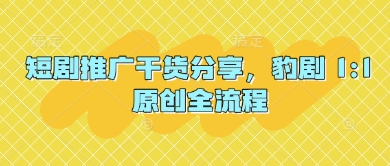 短剧推广干货分享，豹剧 1:1原创全流程-资源鲟