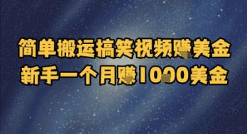 简单搬运搞笑视频挣美金，新手一个月入1k美金-资源鲟