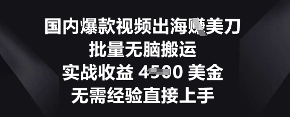 国内爆款视频出海挣美刀，批量无脑搬运，实战收益4.5k，无需经验直接上手-资源鲟