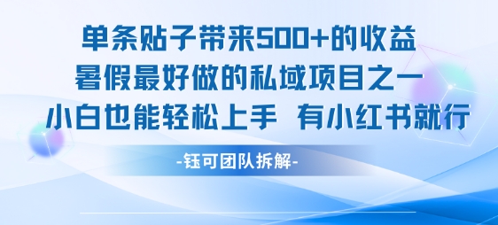 单条贴子带来5张的收益，暑假最好做的私域项目之一，小白也能轻松上手，有小红书就行-资源鲟