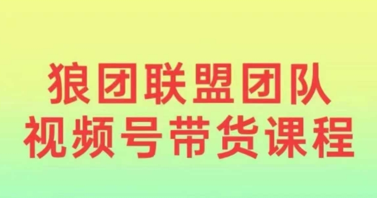 狼团联盟2024视频号带货，0基础小白快速入局视频号-资源鲟