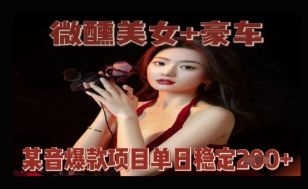 微醺美女+豪车，抖音爆款项目单日稳定2张+-资源鲟