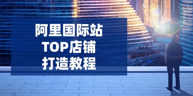 （14269期）阿里国际站TOP店铺打造教程：涵盖平台到高阶，解决运营难题，提升询盘-资源鲟
