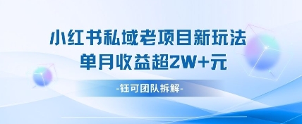 小红书私域项目新玩法，单月变现过W+-资源鲟