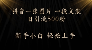 每天2分钟，抖音一张图片 一段文案日引流500粉-资源鲟