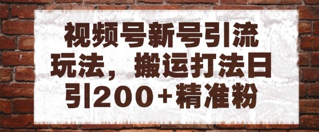 视频号新号引流玩法，搬运打法日引200+精准粉，可矩阵放大【揭秘】-资源鲟