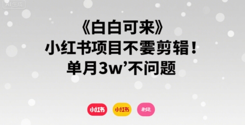 小白可来 小红书项目不需要剪辑 单月3w不是问题-资源鲟