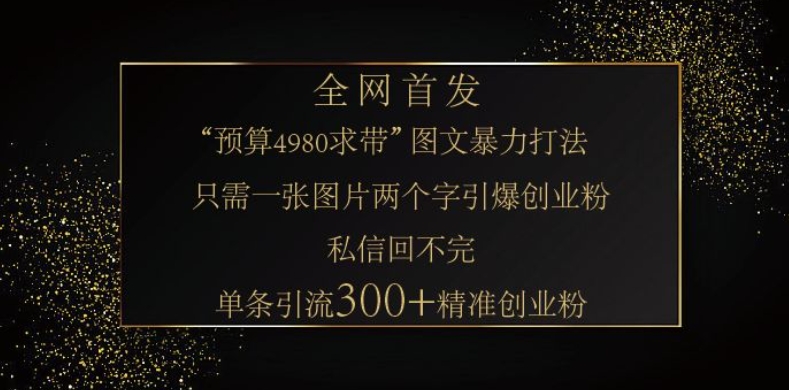 小红书神奇图片引流法，只需一张图，就能单条笔记凭借此方法，轻松引流 300 + 精准创业粉-资源鲟