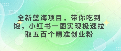 全新蓝海项目，带你吃到饱，小红书一图实现极速拉取五百个精准创业粉-资源鲟