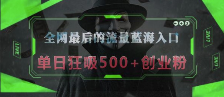 全网最后的流量蓝海入口，半小时引流50+创业粉，单日狂吸500+创业粉-资源鲟