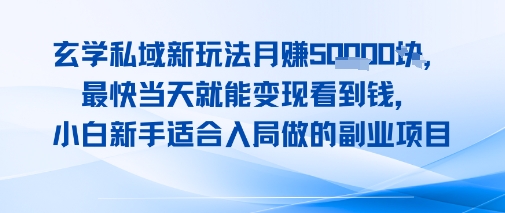 玄学私域新玩法月入1W+，最快当天就能变现看到米，小白新手适合入局做的副业项目-资源鲟