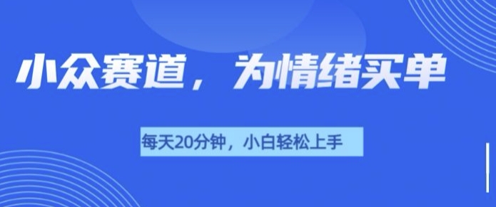 小众赛道，我的治愈系电子抱枕，让用户为情绪买单-资源鲟