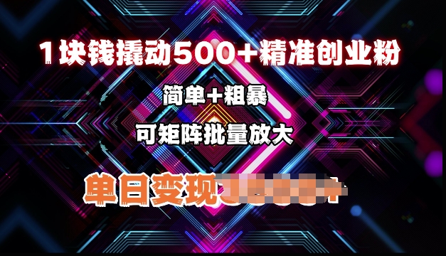 低价撬动500+精准创业粉，简单、粗暴、批量放大，单日变现多张-资源鲟