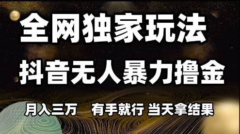 全网独家玩法抖音无人暴力撸金，月入3W，有手就行，当天拿结果【揭秘】-资源鲟
