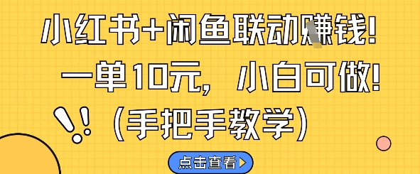 小红书+闲鱼联动挣钱，一单10元，小白可做-资源鲟
