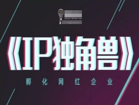 IP独角兽，孵化网红企业，ip教程-资源鲟
