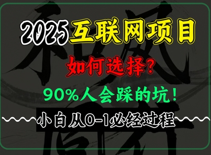 2025年互联网项目搞钱方法论，全是干货，肺腑之言，新手从0-1必经过程，边看边实操-资源鲟