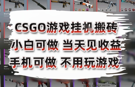 CSGO游戏挂G搬砖，小白纯手机即可操作，不用电脑打游戏，日入3张+，副业网创项目【揭秘】-资源鲟