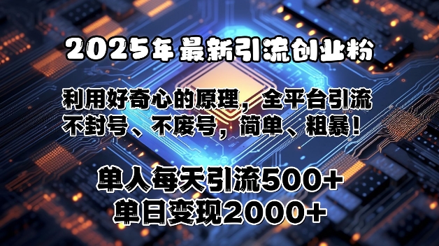 2025年最新引流创业粉，利用好奇心的原理，全平台引流，不封号、不废号，简单、粗暴-资源鲟