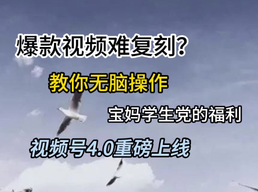 视频号4.0重磅上线，爆款视频难复刻？教你无脑操作宝妈学生党的福利【揭秘】-资源鲟