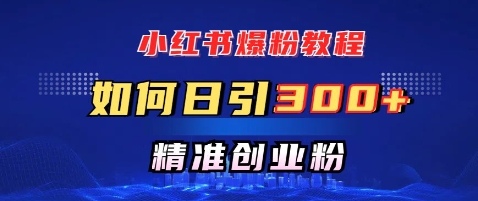 小红书爆粉教程，如何日引300+创业粉，快速实现精准变现-资源鲟