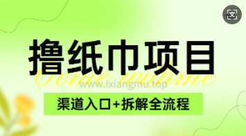 低价撸纸0元免单_项目拆解全流程+渠道入口-资源鲟