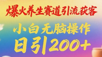 爆火养生赛道引流获客，小白无脑操作，日引200+-资源鲟