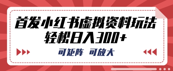 首发小红书虚拟资料玩法，可矩阵，可放大，轻松日入3张-资源鲟