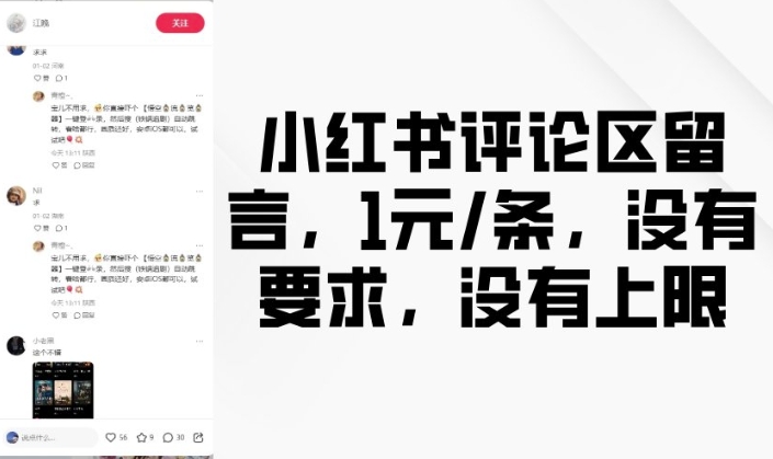 小红书评论区留言，1元条，没有要求，没有上限-资源鲟