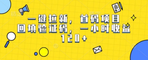 一键拉新，首码项目，回填验证码，一小时收益1张-资源鲟