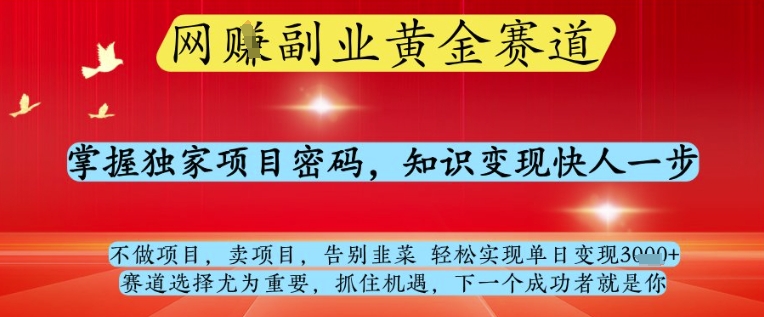 网创副业黄全赛道，掌握独家项目密码，知识变现快人一步，告别韭菜轻松实现单日变现1k+【揭秘】-资源鲟