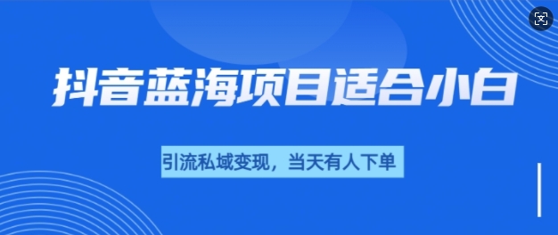 抖音蓝海小赛道私域变现项目，单价9.9单天变现100+，实操玩法分享给你-资源鲟