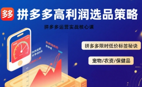 拼多多选品暴利技术实战课，拼多多高利润选品策略，拼多多限时低价标签秘诀-资源鲟
