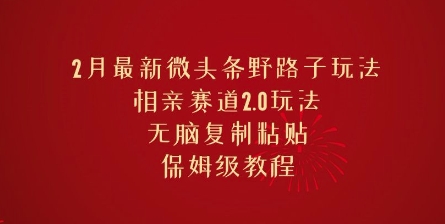 2月最新微头条野路子玩法，相亲赛道2.0玩法，无脑复制粘贴，保姆级教程-资源鲟