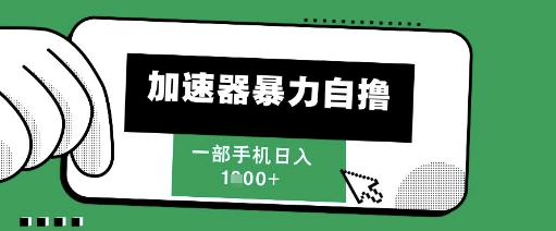 205新风口，加速器暴力自撸，单机日入1k+【揭秘】-资源鲟