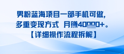 8月新男粉蓝海项目一部手机可做，多重变现方式 月入4W+【详细操作流程拆解】-资源鲟