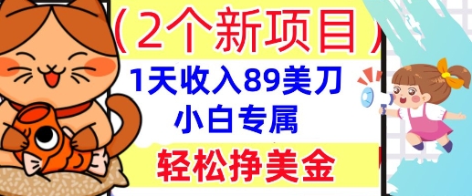 2个新项目，轻松挣美金， 1天收入89美刀，小白专属，干货分享-资源鲟