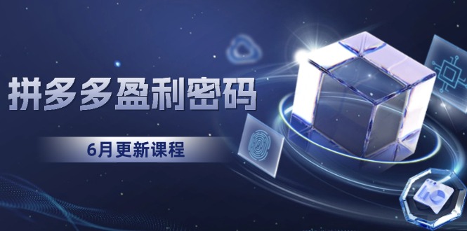 （15005期）拼多多盈利密码：从烧钱推广到印钞模型，底层逻辑重构指南（6月更新）-资源鲟