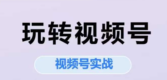 玩转视频号，视频号实战系列课-资源鲟