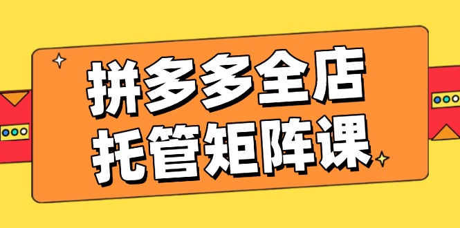 （14328期）拼多多全店托管矩阵课，盈利动销玩法，高效计划设置，提升店铺效益-资源鲟