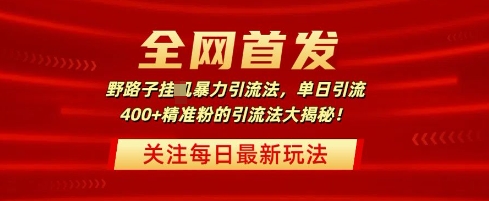 全网首发，野路子暴力引流法，单日引流400+精准粉的引流法大揭秘-资源鲟