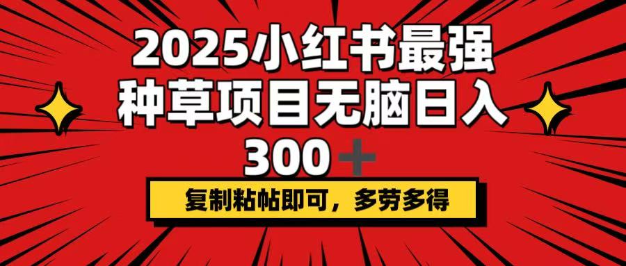 （14375期）2025小红书最强种草项目，无脑日入300+，复制粘帖即可，多劳多得-资源鲟
